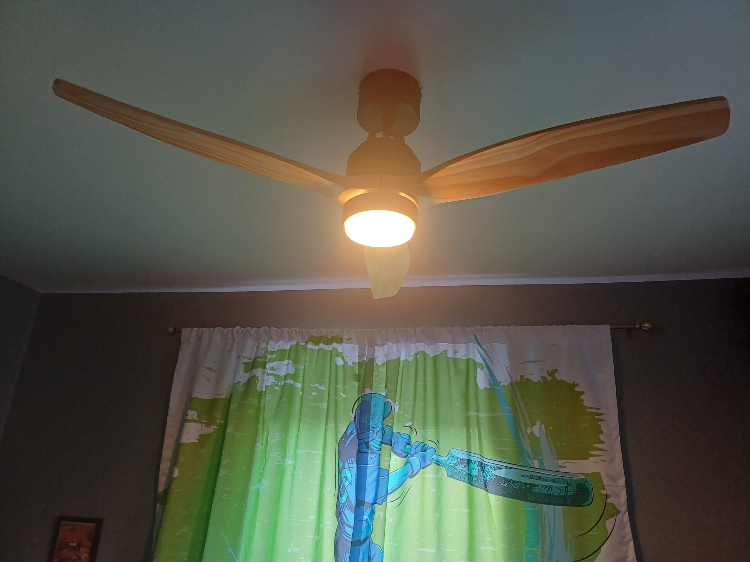 Ceiling fan